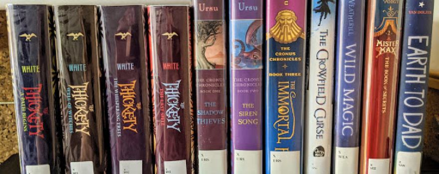 Ascension Parish Library - Dutchtown