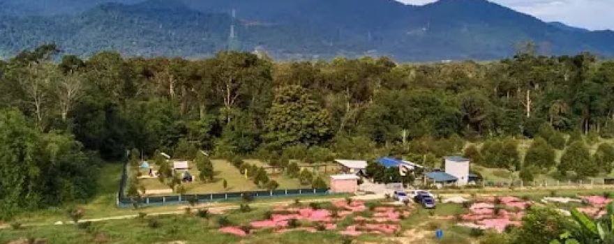 Behrang Camp De Orchard