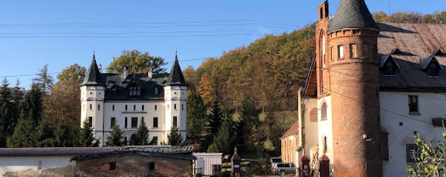 Pałac Sokołowiec Górny
