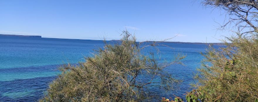 Stuart King Reserve