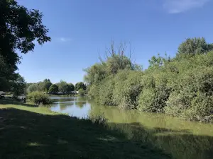 Camping les colombes
