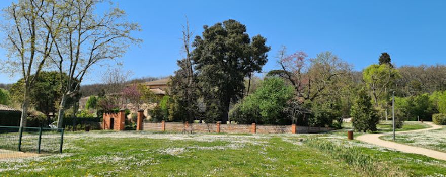 Park Paderne