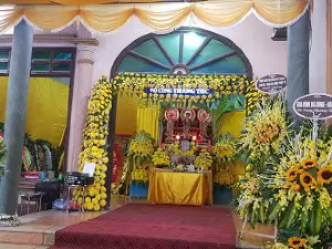 Cây đa lịch sử thị xã Phú Thọ