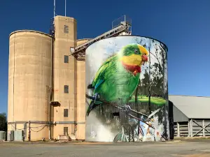 Picola Silo Art