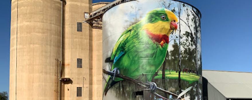 Picola Silo Art