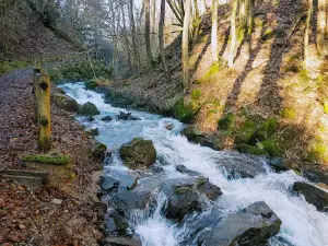 Lago di Levico