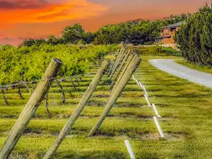 Ridge View Winery