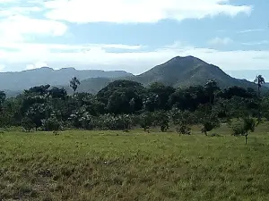 Estadio Tocomita