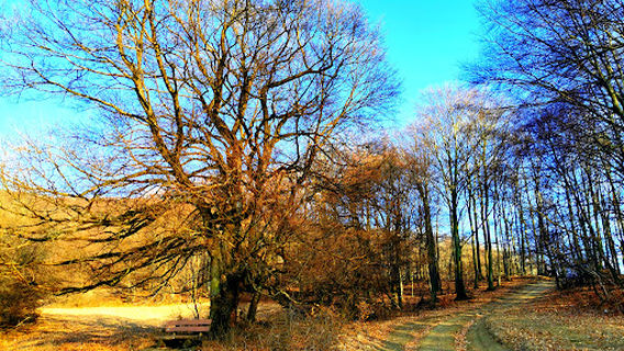 Pod ostrým vrchom hojdacka