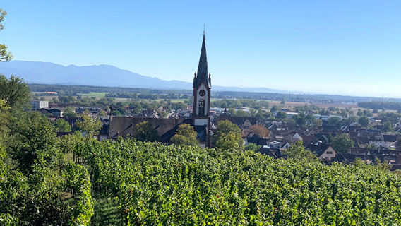 Kaiserstuhl Camping