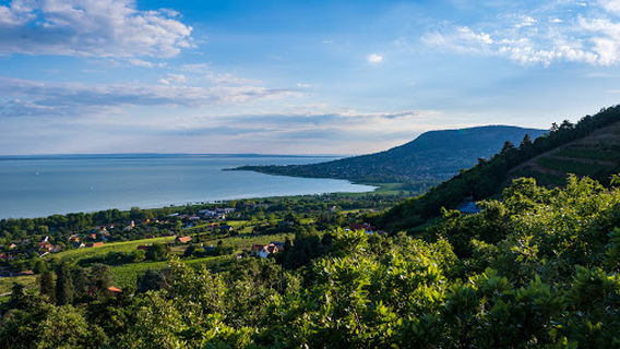 Folly Arborétum kilátója