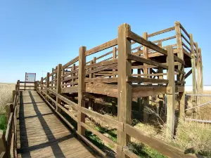 Salt Plains State Park