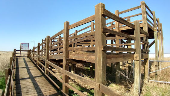 Salt Plains State Park