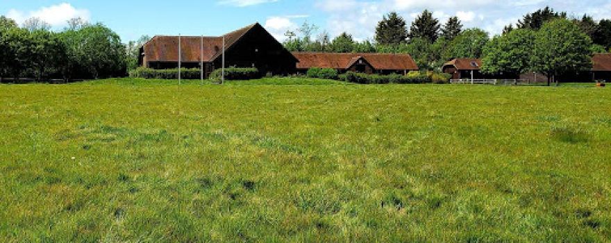 Willow Tree Centre