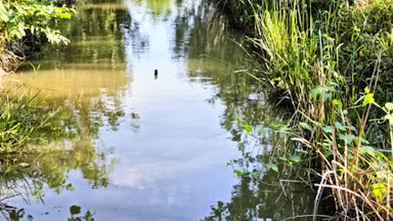 Chợ Đêm Cai Lậy