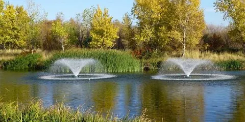 Davis Community Park