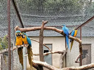 Zoo d'Upie