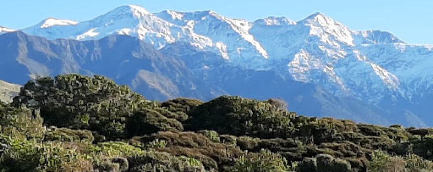 Kiwi Surf Experience