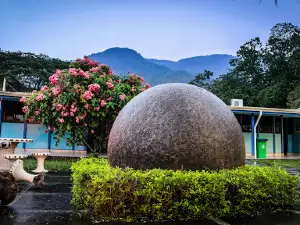 Quiosco Del Colegio- Palmar Norte