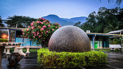 Quiosco Del Colegio- Palmar Norte