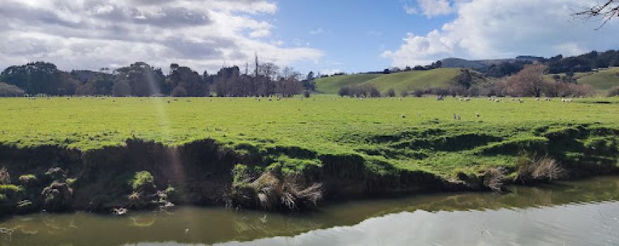 Cheviot Hills Reserve