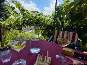 Cantina del Rondo