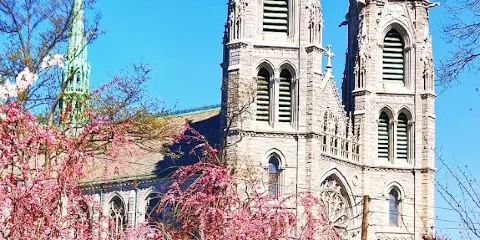 布蘭池布魯克公園