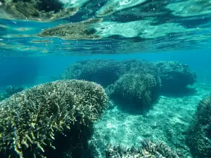 Yoron Island