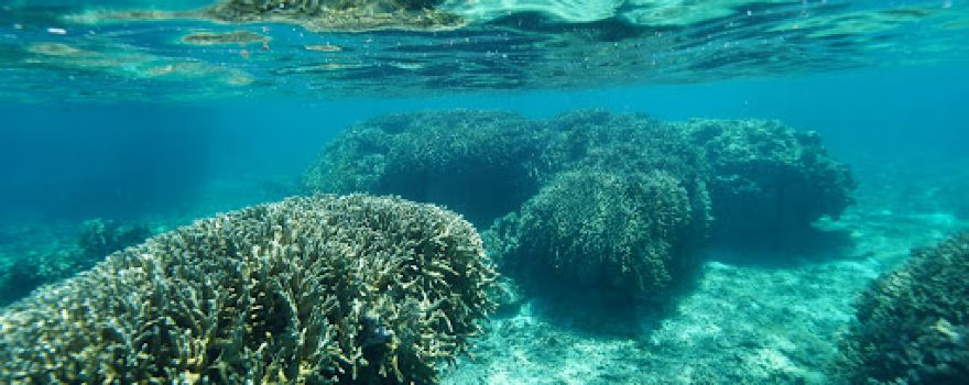 Yoron Island