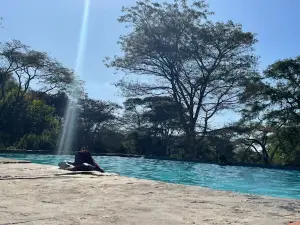 Monkey Pools