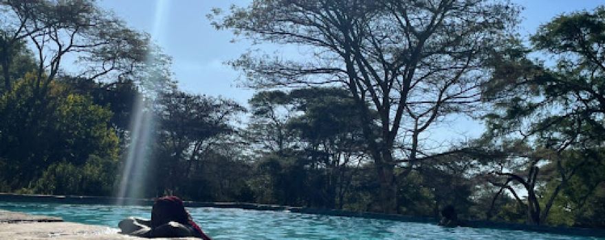 Monkey Pools