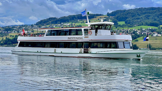 Seezopf Delphin