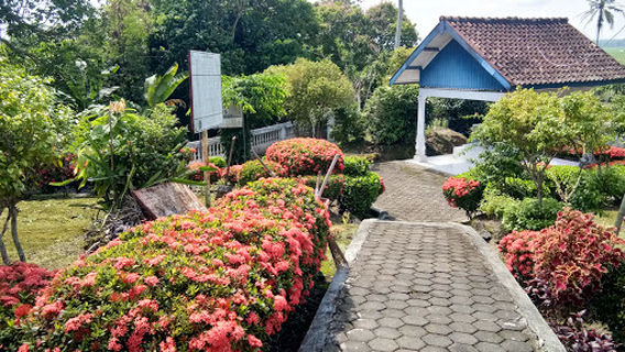Palas Pasemah