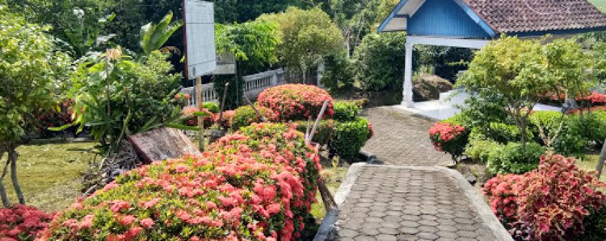 Prasasti Palas Pasemah