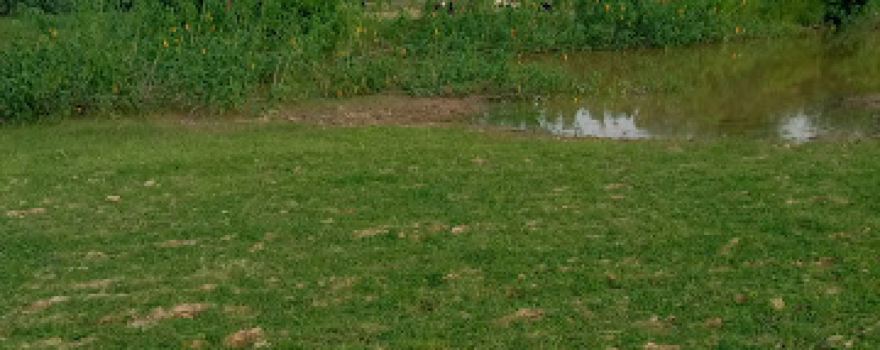 लोधगड़ी Lodhgarhi