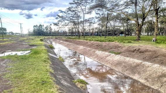 Naivasha