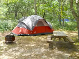 Adventure Bound Camping Resorts - Cape Cod