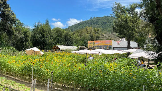 Antigua Guatemala