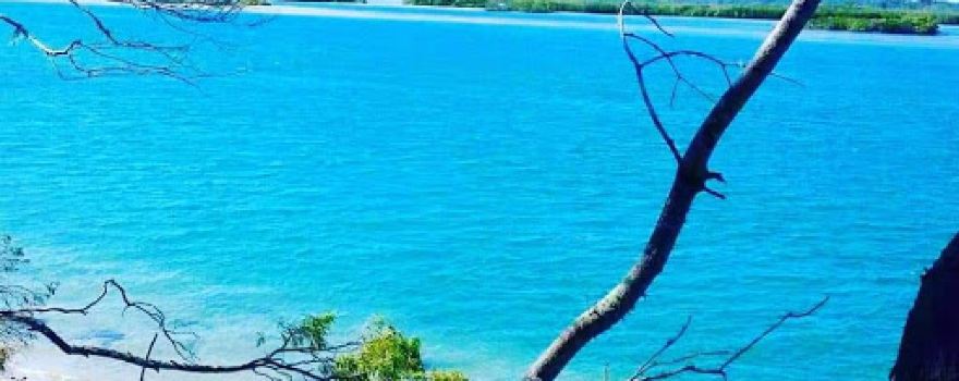 Woodgate Caravan and Camping in Queensland