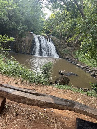 Canopyng Iguazu