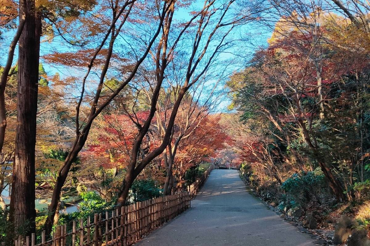 名古屋紅葉 | 10. 東山動植物園