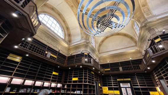 Museum of La Cour d'Or