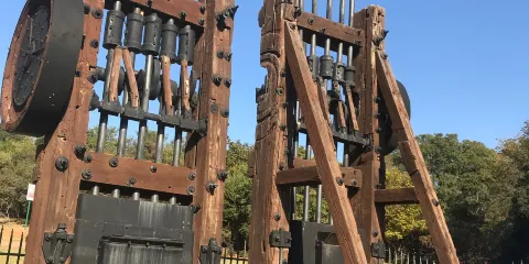 Kloofendal Nature Reserve