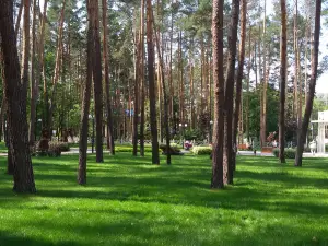 Pokrovsky Park