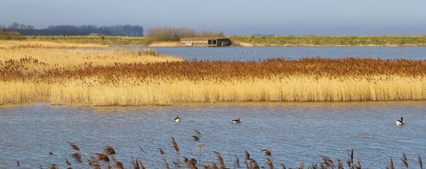 Réserve naturelle de Titchwell Marsh