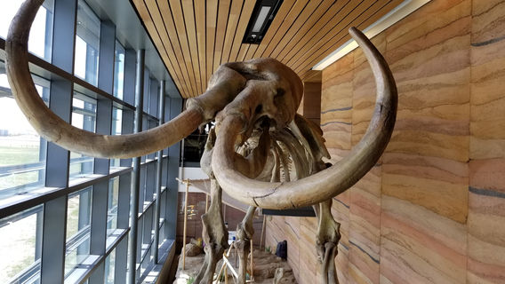 Southeast Wyoming Welcome Center