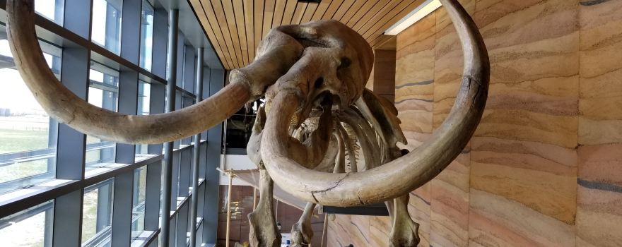 Southeast Wyoming Welcome Center