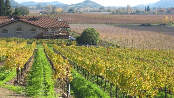 Napa Valley Wine Train