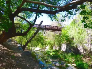 Big Ditch Park