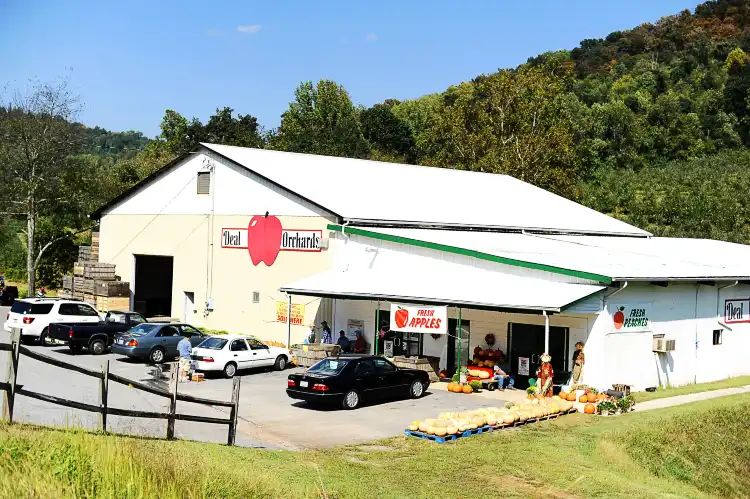 Hotels in Sugar Loaf
